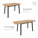 ЛИОН стол раздвижной Дуб Галифакс Табак/Черный