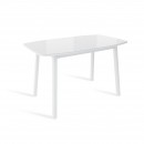 ЛИОН стол раздвижной со стеклом Белый/Белый